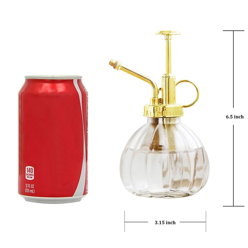 Ebristar Plant Mister, 6.5" Tall Decorative Glass Water Spray Bottle with Gold Top Pump Small Watering Can by Ebristar - Clear - Image 2
